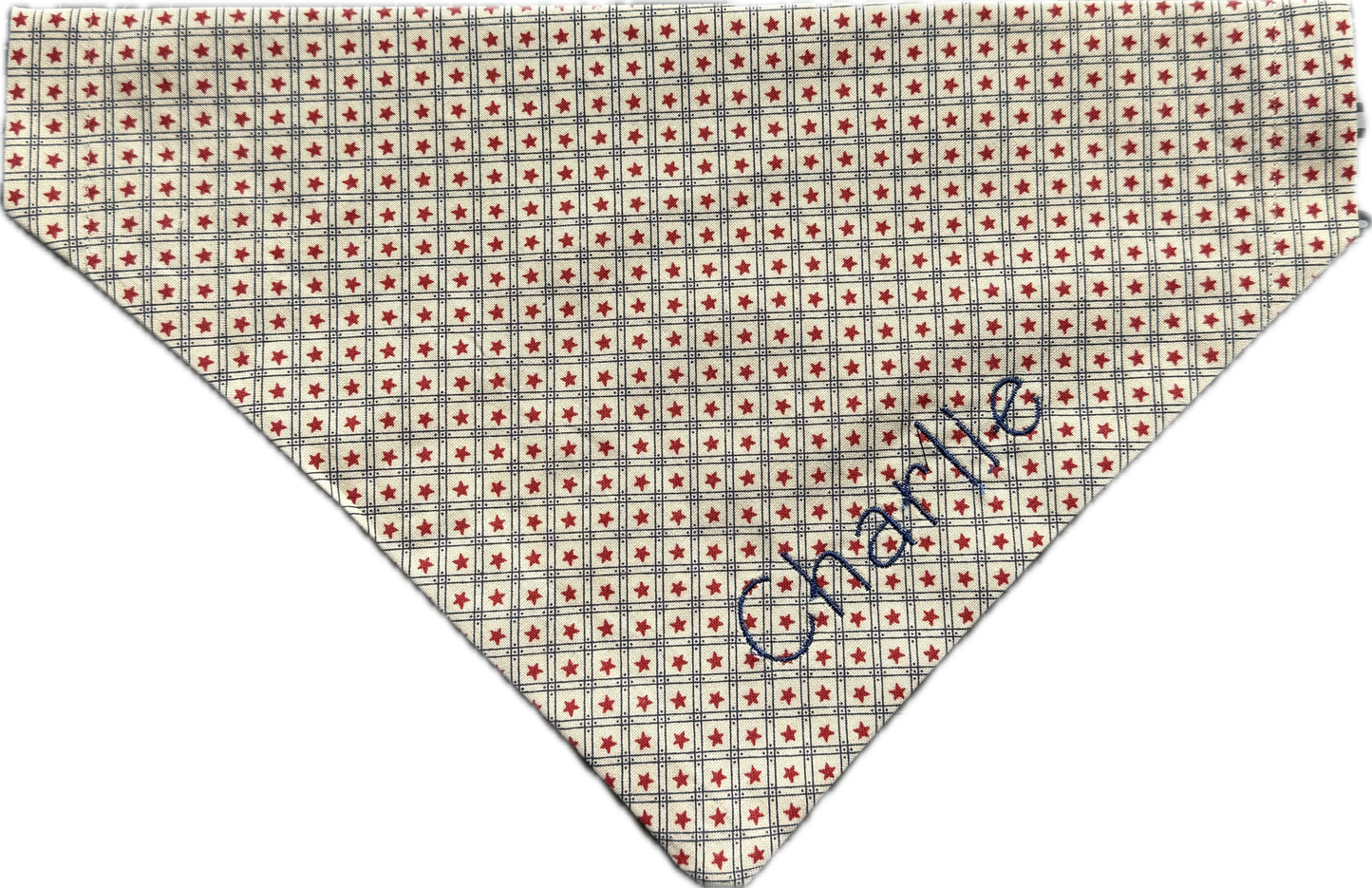 Vintage Theme Slip on Collar Bandana