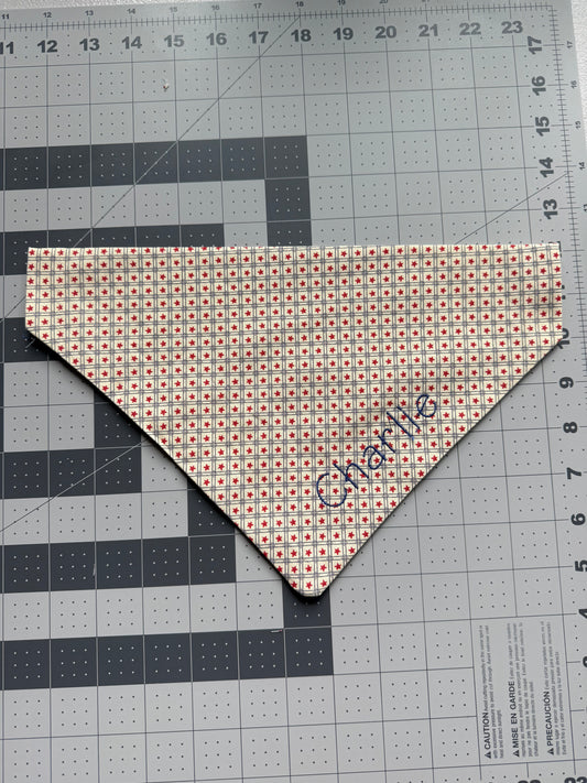Vintage Theme Slip on Collar Bandana